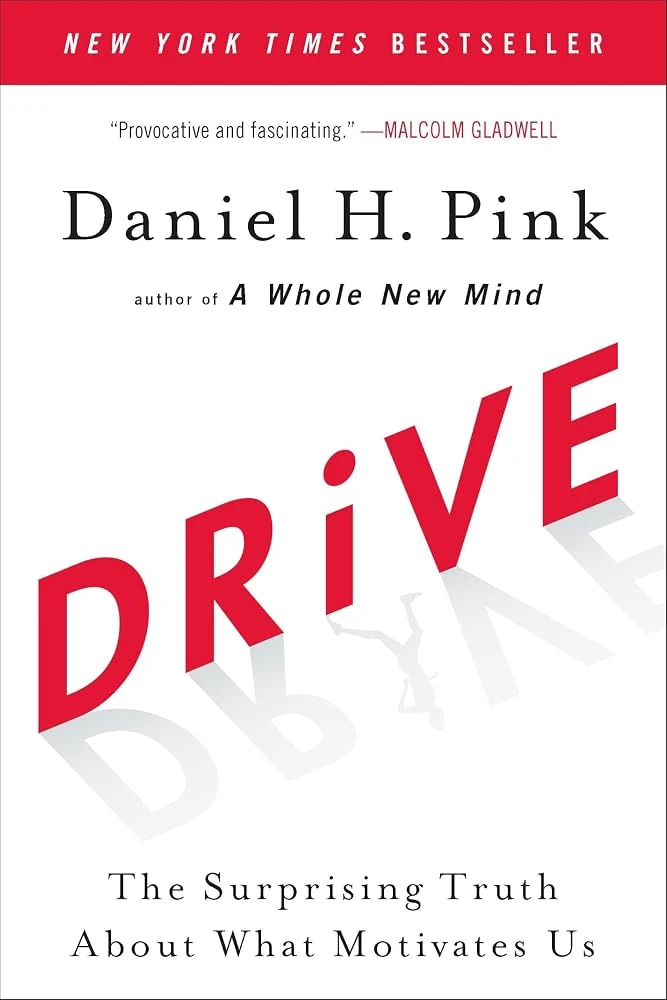 Drive book cover