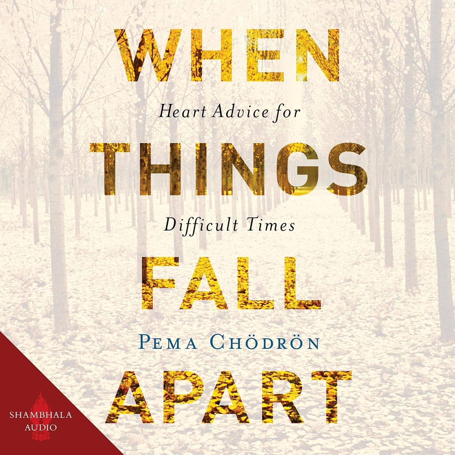 When Things Fall Apart book cover