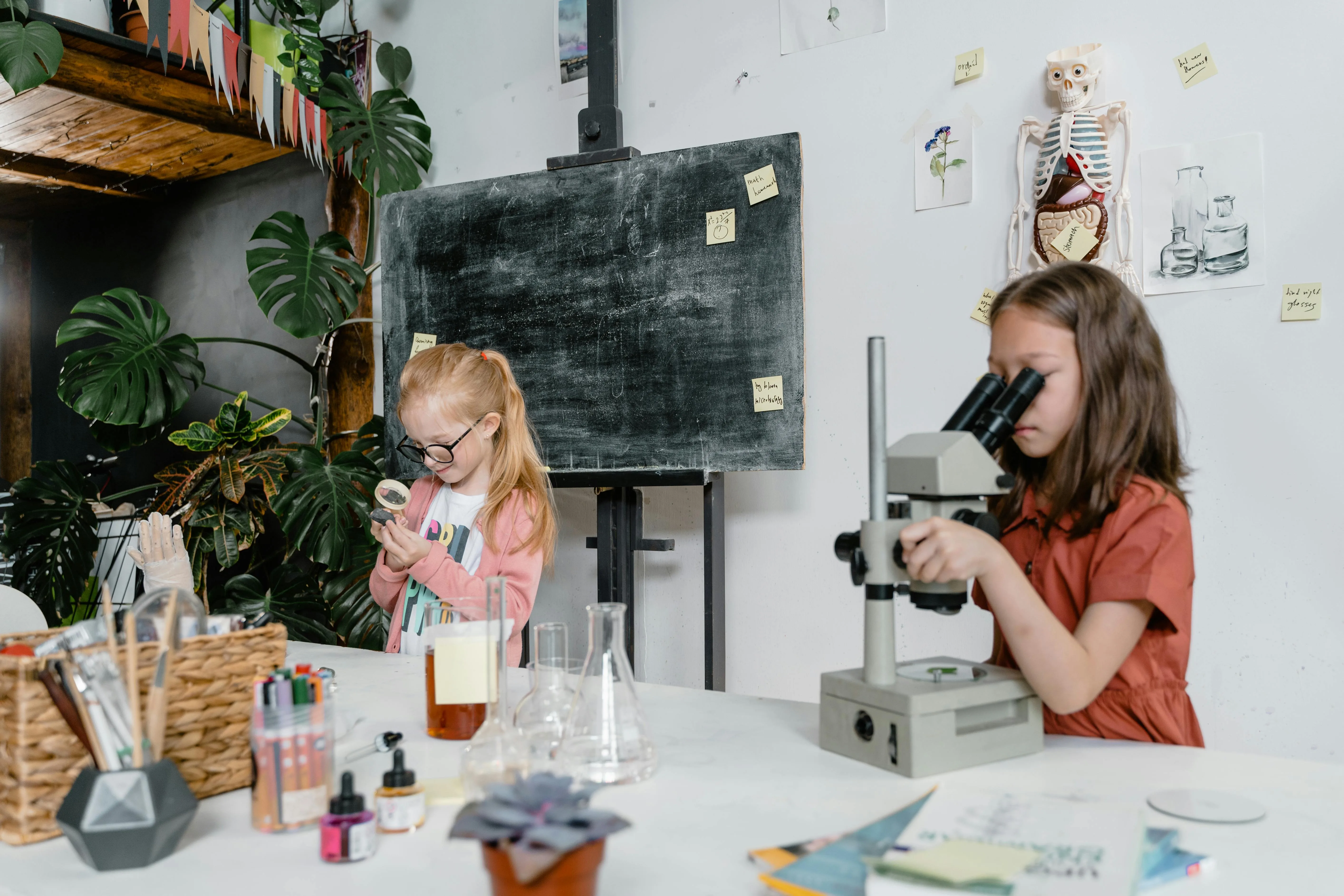 Little Science