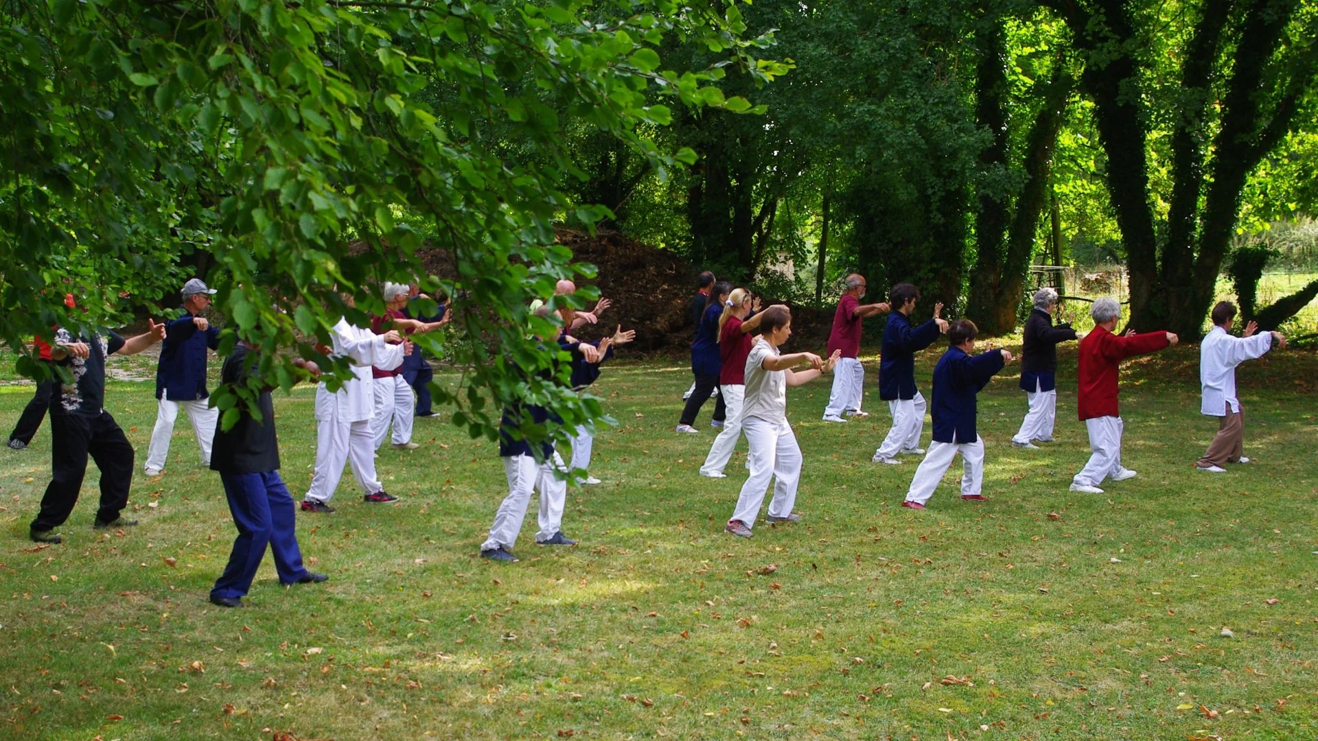 Tai Chi Chuan students practicing together in a green park